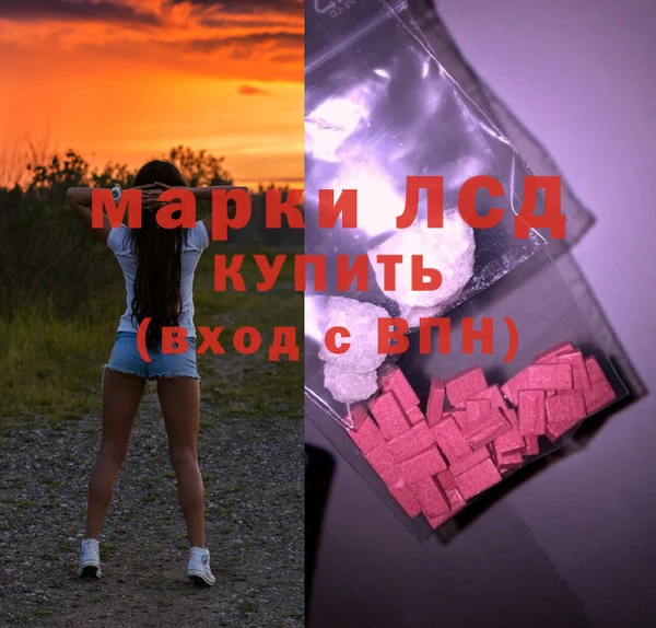 эйфоретик Гусев