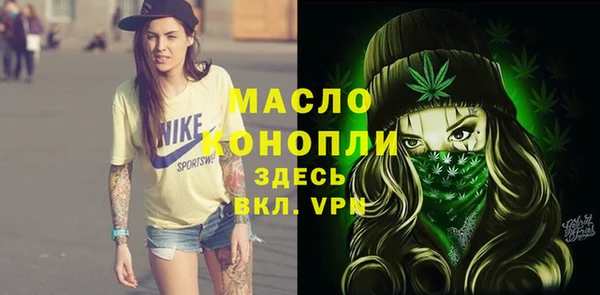 соль ск Гусь-Хрустальный