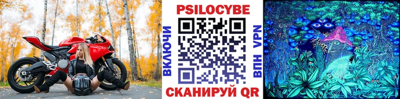 OMG сайт  Нижний Ломов  Псилоцибиновые грибы Psilocybine cubensis 